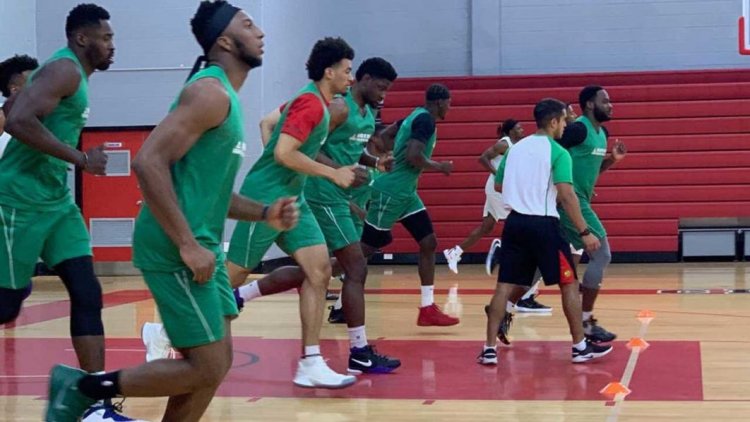 Nigeria withdraws from international basketball over NBBF crisis