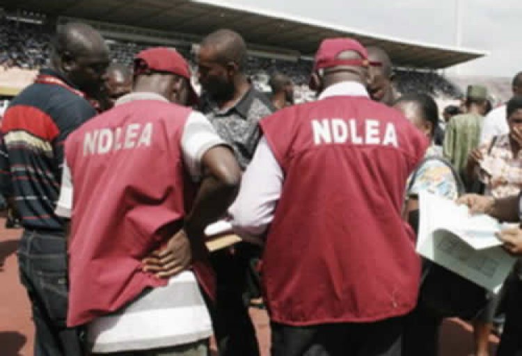 NDLEA arrests Brazilian returnee with cocaine in private parts